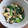 クックVLX82Q☆'s cooksnap of when they made 時短！小松菜の炒め浸し.