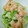 ミサシオハヤ♪'s cooksnap of when they made 春キャベツとえびのマヨ炒め.
