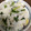 やまびこwa's cooksnap of when they made カブの葉とさつま芋の混ぜご飯♡.