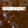くまッち's cooksnap of when they made いくらしょうゆ漬けを作ろう！.