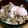 nana_koko's cooksnap of when they made そくうま！簡単！豚肉温玉ぶっかけうどん.