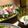 tomomo0416's cooksnap of when they made 生ハムの大根巻き.