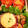 クックATQSIP☆'s cooksnap of when they made 卵の殻で♪茶碗蒸し〜♡.