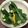 グアニル's cooksnap of when they made レンジで簡単！オクラの酢の物♪すだち風味.