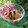 もりあん農園's cooksnap of when they made ✿お豆とハリハリ漬けの簡単和え✿.