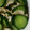 クック7PGMP5☆'s cooksnap of when they made 切り干し大根酢の物甘酢和え♪【学校給食】.