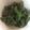 もきち☆'s cooksnap of when they made 【話題の野菜】アイスプラントバターソテー.