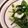 おはなすき's cooksnap of when they made * 菜の花no ❤ アーモンド和え♪.