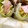 二角形's cooksnap of when they made ☆まきまき☆ギフトのハムで生春巻き♪.