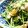 ちっちぱっど's cooksnap of when they made 豆苗と卵のごま油炒め.