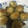 mi2sa9's cooksnap of when they made 新ジャガとニンニクのまるごと焼き.