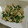 けいいけ's cooksnap of when they made ほうれん草の白和え☆★.