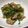 mami_mu's cooksnap of when they made 豚肉とピーマンのごま味噌炒め.