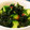 kitchon's cooksnap of when they made 簡単早うま‼ 胡瓜とわかめのナムル風.