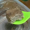ぬまあや's cooksnap of when they made 低糖質◎ココアのおから蒸しパンケーキ.