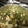 ★さやん★'s cooksnap of when they made 宮城県民が作る★野菜たっぷり本場の豚汁.