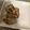 ikokev's cooksnap of when they made 海苔とチーズの豆腐揚げ.