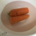 ぴっぴ2's cooksnap of when they made 人参・大根って、しおれちゃわない？再生法.