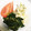 うさこママ★'s cooksnap of when they made めんつゆで簡単！ほうれん草のおひたし.