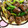 Vista27's cooksnap of when they made 簡単な貧血に効く牛レバーと青ネギ炒め.