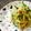 LimeLunch's cooksnap of when they made 胡瓜と大根の梅おかかポン酢和え.