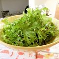 sunita's cooksnap of when they made わさび菜 の 韓国風 サラダ.