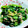 マイミーママ's cooksnap of when they made 簡単！アレンジいっぱい青菜のツナ和え.