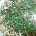 ナインちゃん's cooksnap of when they made キャベツ盛り盛り☆簡単！お好み焼き.