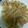 クックPHERV6☆'s cooksnap of when they made 絶品！えびニラ餃子♪.