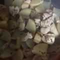 やーしー's cooksnap of when they made 鶏もも肉と大根のほっこり煮.