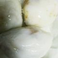 クックX2D84U☆'s cooksnap of when they made 米粉饅頭.