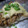 ちばたま's cooksnap of when they made もちもち♪里芋と肉味噌のチーズ焼き.