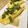 クックパッドごはん部's cooksnap of when they made タイ風パクチーオムレツ.