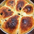 まゆぴこぴこ's cooksnap of when they made 炊飯器で発酵パン（レーズン）.