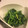 catsaddict's cooksnap of when they made スグ出来るほうれん草の辛子マヨネーズ和え.