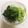 wnemu801's cooksnap of when they made 菜の花のおひたし♪(ほうれん草.春菊).