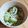 リラクマオ's cooksnap of when they made 春キャベツ　はまる風味でダイエットにも.
