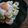 くんすけ's cooksnap of when they made スイートチリでアボカドシュリンプ☆.