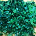 トラととら's cooksnap of when they made 大根菜の冷凍.