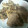 スミレ's cooksnap of when they made シメジと豚肉のしょうが焼き糖質制限.