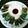 Chiroruchi's cooksnap of when they made 穴子の生春巻き.