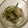 sakutakuhitoshu's cooksnap of when they made みょうがときゅうりのサラダ.