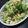 みるく✳︎ここあ's cooksnap of when they made ブロッコリーの卵サラダ.