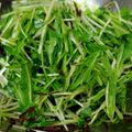 クックDAD's cooksnap of when they made 簡単☆早い☆水菜と貝割れのサラダ.