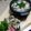 香歌ママ's cooksnap of when they made 豚バラしゃぶ肉とフォーのクレソン鍋.