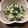 ゆのたま22's cooksnap of when they made ほうれん草の白和え【男の簡単和食】.