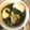 はらぺこバタ子さん's cooksnap of when they made 風邪のひき始めに！手羽元のスープ.