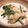 sessan60jp's cooksnap of when they made ＊鶏肉ときのこのクリーム煮＊.