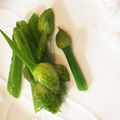 ぷるさん's cooksnap of when they made 産直農家の「葱坊主の素炒め」.