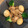 クックPAS9E6☆'s cooksnap of when they made 簡単！手羽元とゆで卵のさっぱり煮.